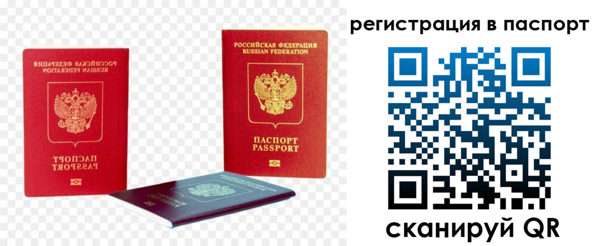 временная регистрация поиск в Снежногорске